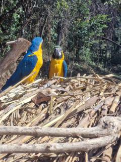 Camping Cafundó Coffee - 5