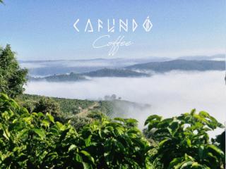 Camping Cafundó Coffee - 8