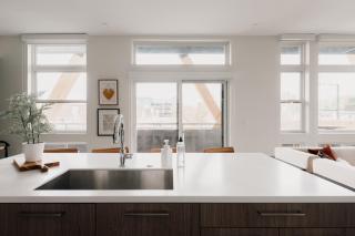 Rhythm of Night | Espadin LoHi - 2