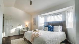 Windsor Phoenix - Phoenix - 9