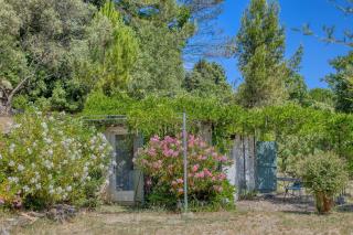 Mas Les Micocouliers - 3