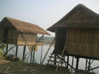 Wild Adventure Resort - Sunset Point - Sauraha - 9