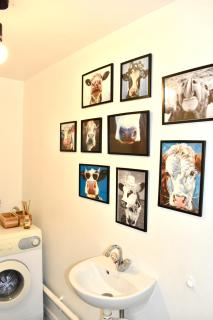 Duplex lumineux haut Jura - Ponthoux - 7