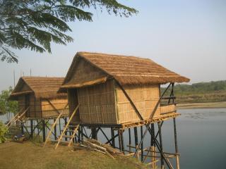 Wild Adventure Resort - Sunset Point - Sauraha - 7