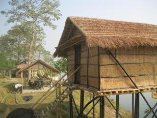 Wild Adventure Resort - Sunset Point - Sauraha - 6