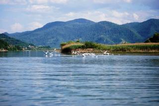 Hotel Royal Drina - Mali Zvornik - 2
