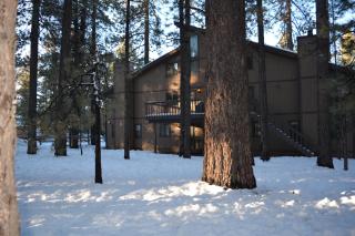 Snow Summit Getaway - Big Bear Lake - 4