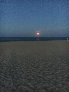 South boardwalk 507 - Rehoboth Beach - 3