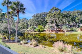 5 Turtle Lane at The Sea Pines Resort - Hilton Head Island - 4