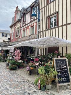Appartement t2 cosy hypercentre 3mn de la plage - Villers-sur-Mer - 7