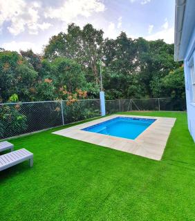 Mango Tree Cottage leisure pool near the beach - Saint Mary - 4