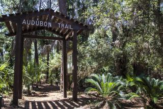 475 Tarpon Blvd - Fripp Island - 5