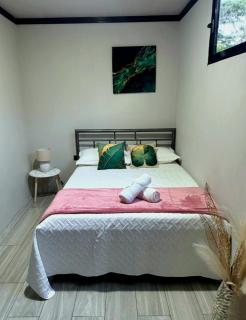 Casa del Lago - Bijagua - 6