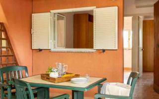 Apartments in Montalto Di Castro - Viterbo (Provinz) 54304 - Montalto di Castro - 9