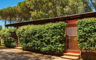 Apartments in Montalto Di Castro - Viterbo (Provinz) 54304 - Montalto di Castro - 8