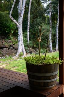 CREEK HOUSE at Snows Creek Retreat - - 4