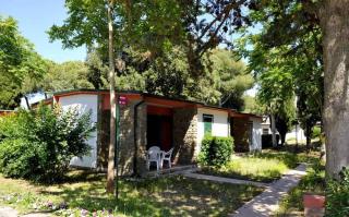 Apartments in Baia Domizia - Kampanien 51871 - Baia Domizia - 8