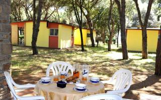 Apartments in Baia Domizia - Kampanien 51871 - Baia Domizia - 7