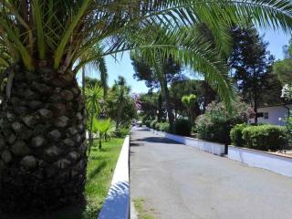 Apartments in Baia Domizia - Kampanien 51871 - Baia Domizia - 1