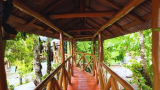 Pousada Tucuna Lodge - Amazônia - Rio Preto da Eva - 8