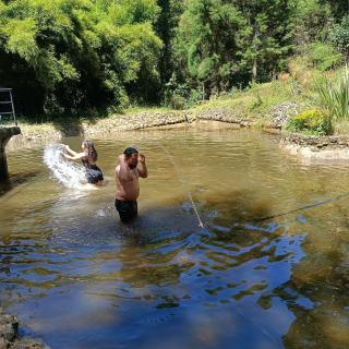 Finca 5 Continentes - Cerca MatroCable ARVI - Guarne - 5