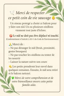 Saint-Mandrier-sur-Mer Rsd Les comètes - Saint-Mandrier-sur-Mer - 9