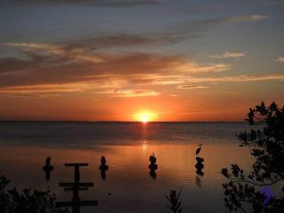 Sun Dancer #11 - South Padre Island - 9