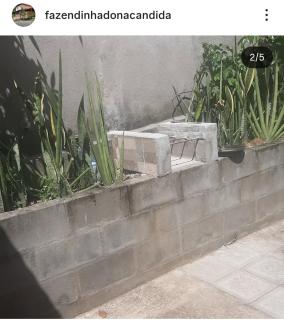 Fazendinha Dona Cândida - Crato - 7