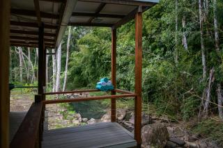 Snows Creek Retreat - The Creek House -  - 4