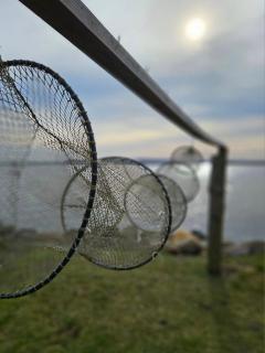 Fischerstern - Maasholm - 9