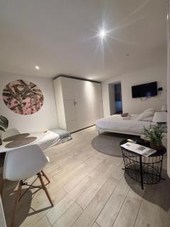 Noelle apartment - Rovigno (Rovinj) - 0