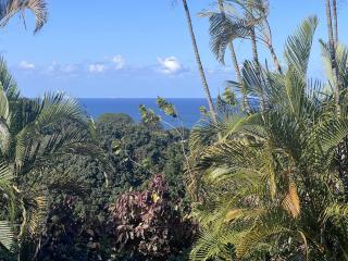Seaview Manor Exquisite Bed & Breakfast - Durban - 6