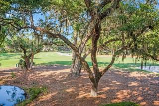 2344 Racquet Club at The Sea Pines Resort - Hilton Head Island - 6