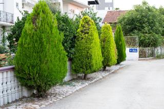 Guest House Aldin - 5
