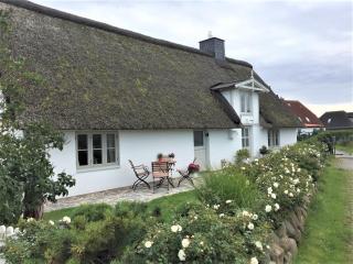 Reetkate am Deich - Stinteck - 5