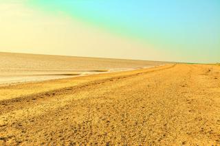 beautiful eco-beach house next to bird reserve - 3