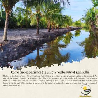 Kilavethi Retreat - Hithadhoo - 8