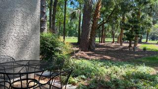 505 Plantation Club Villas at The Sea Pines Resort - Hilton Head Island - 7