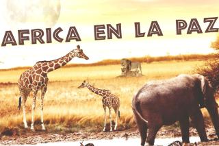 9º Africa, a 7 minutos Malecón-Centro - La Paz - 1