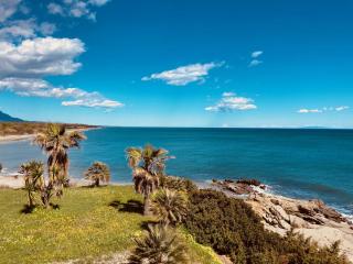 Appartement N142 - T3 bord de mer et piscine - Linguizzetta - 0