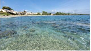 Appartement N142 - T3 bord de mer et piscine - Linguizzetta - 3
