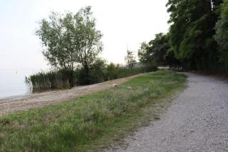 Monika Holiday 619 Green Garda Lake - Garda - 8