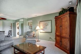 1739 Bluff Villas at The Sea Pines Resort - Hilton Head Island - 6