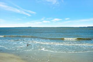 1829 Beachside Tennis at The Sea Pines Resort - Hilton Head Island - 9