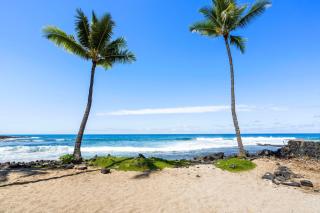 Kona Reef A6 - Kailua-Kona - 1