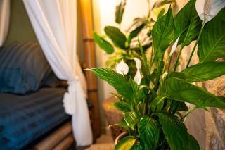 Amoureux Suite romantique Spa privé Cinta Bali châteaux de la Loire - 1
