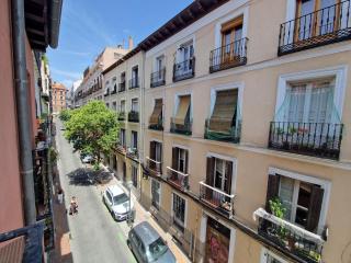 Estupendo apartamento en Malasaña - Madrid - 2