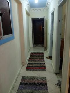 لؤلؤة البحر - 2