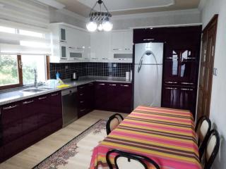 Trabzon Gürbulakta kiralık villa - Trabzon - 9