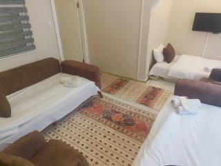 Hotel Antique - Estambul - 7